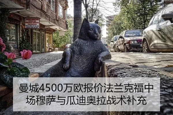 man-cheng-wan-ou-bao-jia-fa-lan-ke-fu-zhong-chang-mu-sa-yu-gua-di-ao-la-zhan-shu-bu-chong-2-500.jpg